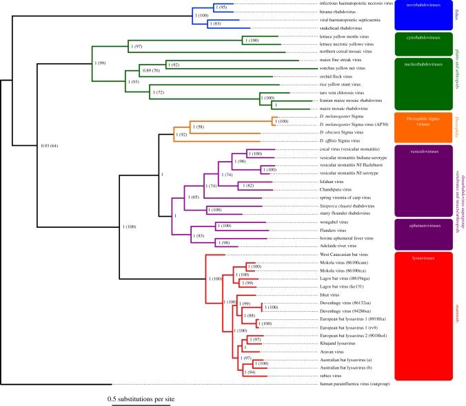 https://cdn.ncbi.nlm.nih.gov/pmc/blobs/a917/2842628/4d65d4ebf438/rspb20091472f02.jpg
