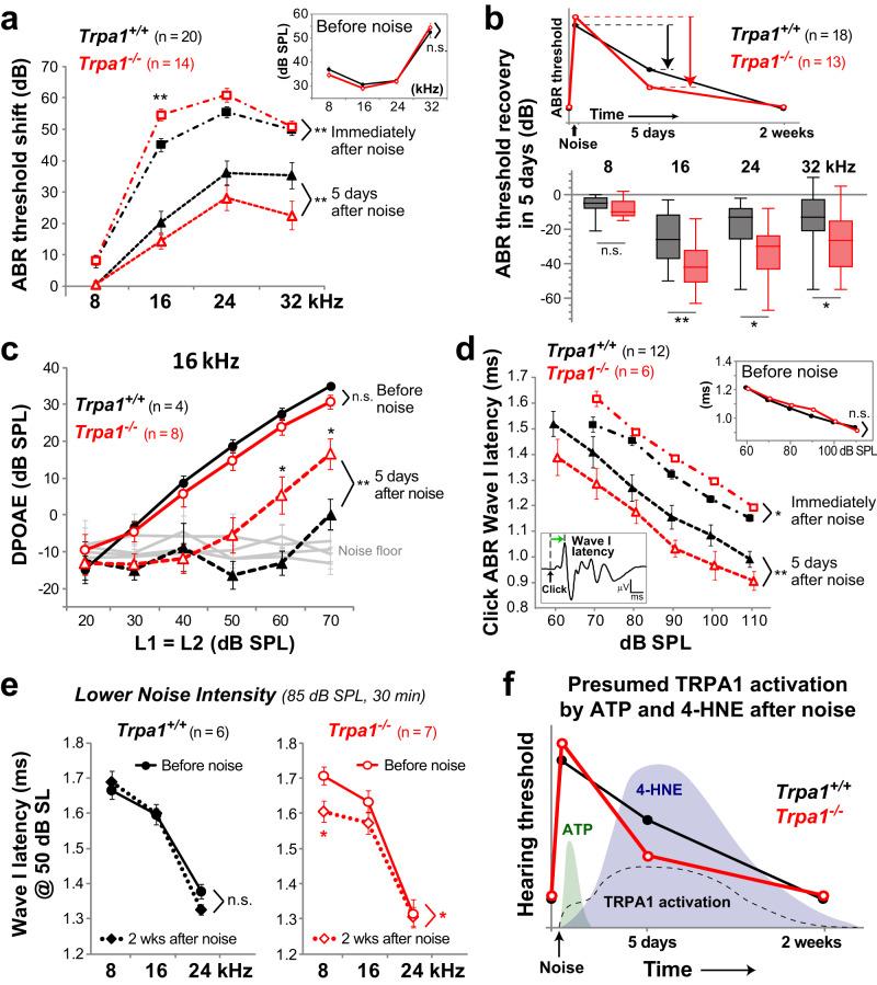 https://cdn.ncbi.nlm.nih.gov/pmc/blobs/a918/10313773/62190b962607/41467_2023_39589_Fig8_HTML.jpg