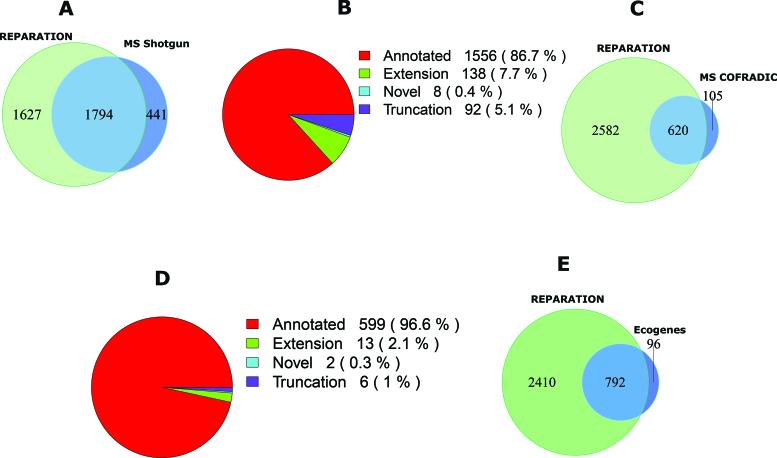 https://cdn.ncbi.nlm.nih.gov/pmc/blobs/a918/5714196/3f6204a3d44d/gkx758fig4.jpg