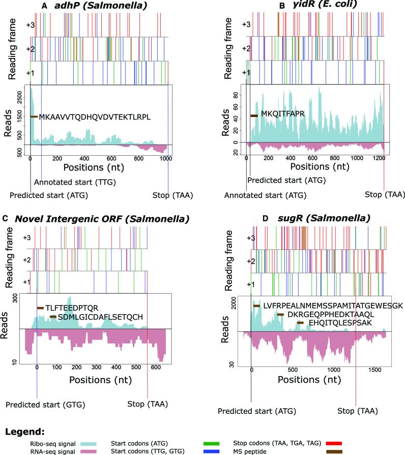 https://cdn.ncbi.nlm.nih.gov/pmc/blobs/a918/5714196/3f7045ae93dd/gkx758fig5.jpg