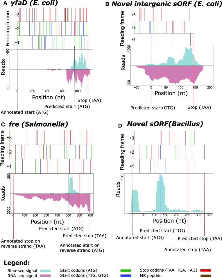 https://cdn.ncbi.nlm.nih.gov/pmc/blobs/a918/5714196/6b184c1a5b59/gkx758fig6.jpg
