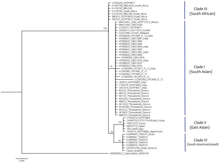 https://cdn.ncbi.nlm.nih.gov/pmc/blobs/a919/11232515/d4126298c1ff/myae062fig1.jpg