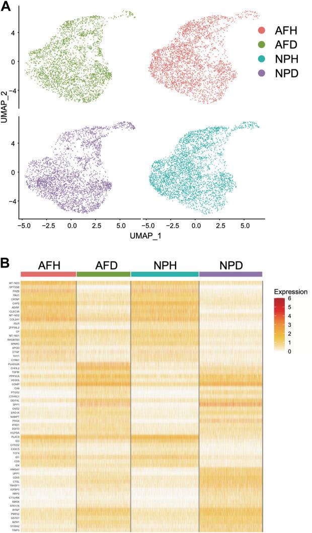 https://cdn.ncbi.nlm.nih.gov/pmc/blobs/a919/9755594/131cf677be2f/fcell-10-1083983-g006.jpg