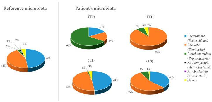 https://cdn.ncbi.nlm.nih.gov/pmc/blobs/a91d/11356532/47e6a20ba65b/microorganisms-12-01625-g001.jpg
