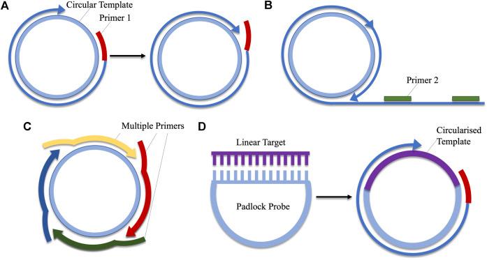 https://cdn.ncbi.nlm.nih.gov/pmc/blobs/a91f/8093571/7d446ea2cae5/fmolb-08-637559-g004.jpg