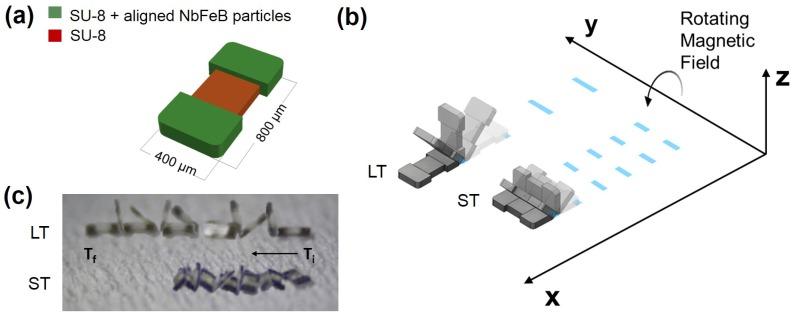 https://cdn.ncbi.nlm.nih.gov/pmc/blobs/a921/6187462/bc6108423f01/micromachines-09-00068-g001.jpg