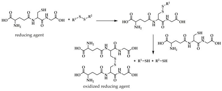 https://cdn.ncbi.nlm.nih.gov/pmc/blobs/a922/10007417/4f7a2b61d9d5/polymers-15-01234-g008.jpg