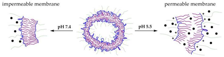 https://cdn.ncbi.nlm.nih.gov/pmc/blobs/a922/10007417/7336aa116eec/polymers-15-01234-g010.jpg
