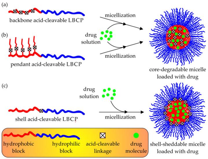 https://cdn.ncbi.nlm.nih.gov/pmc/blobs/a922/10007417/962b988ac2d2/polymers-15-01234-g005.jpg