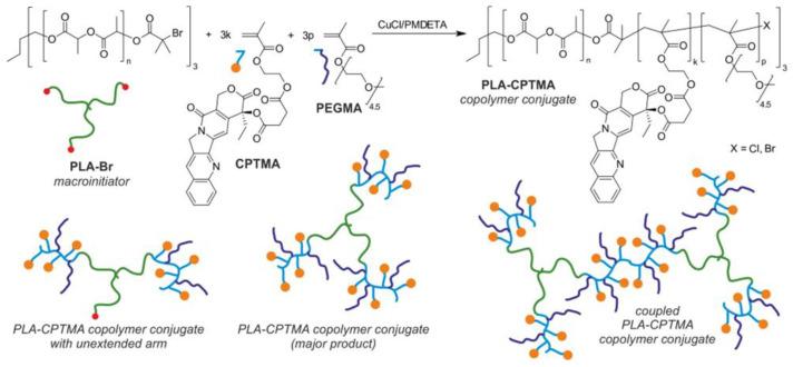 https://cdn.ncbi.nlm.nih.gov/pmc/blobs/a922/10007417/b0102fa45f3d/polymers-15-01234-g015.jpg