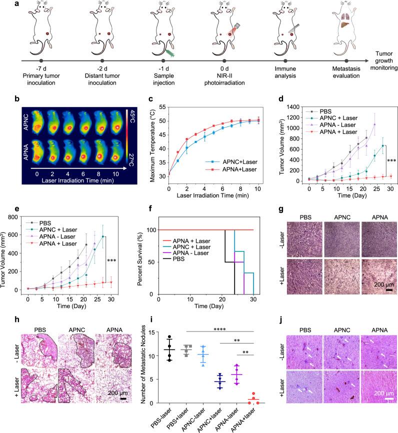 https://cdn.ncbi.nlm.nih.gov/pmc/blobs/a922/7854754/4168e9cdbe39/41467_2021_21047_Fig4_HTML.jpg