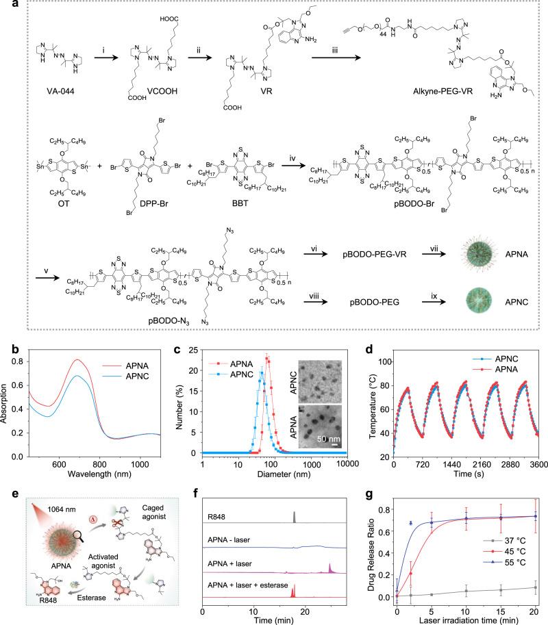 https://cdn.ncbi.nlm.nih.gov/pmc/blobs/a922/7854754/e1c018d11176/41467_2021_21047_Fig2_HTML.jpg