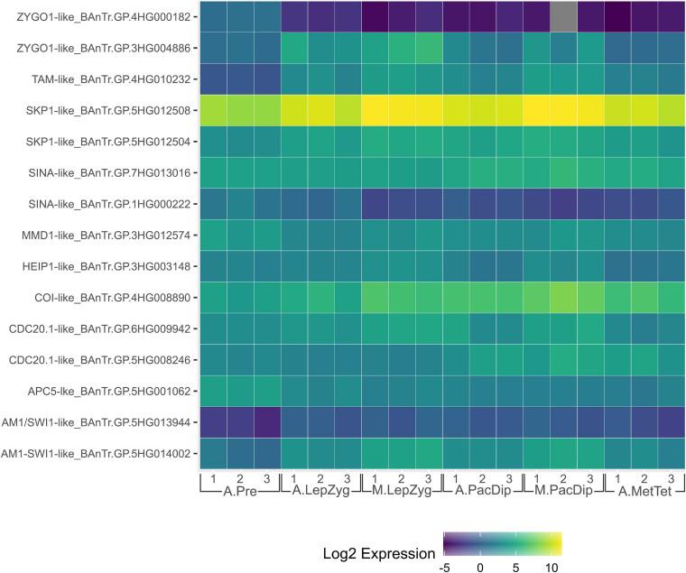 https://cdn.ncbi.nlm.nih.gov/pmc/blobs/a922/8058418/605a1a96f3f4/fpls-12-667314-g002.jpg