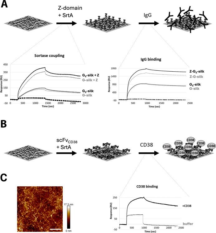 https://cdn.ncbi.nlm.nih.gov/pmc/blobs/a928/11840766/3dfbe9fae4ca/ao4c09900_0002.jpg