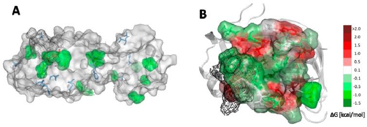 https://cdn.ncbi.nlm.nih.gov/pmc/blobs/a928/7247150/04d053c4e880/ijms-21-03099-g006.jpg