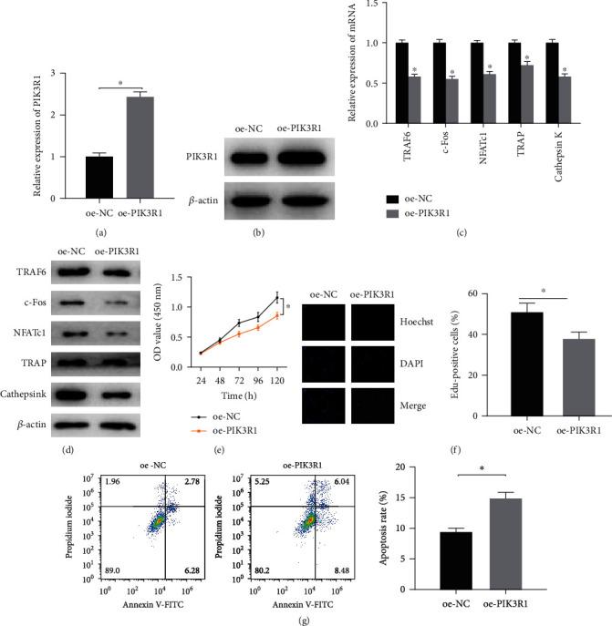 https://cdn.ncbi.nlm.nih.gov/pmc/blobs/a92d/8531831/72b08eedfced/CMMM2021-2909454.006.jpg