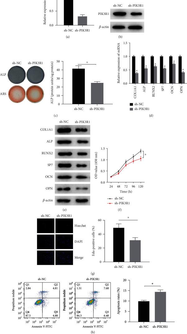https://cdn.ncbi.nlm.nih.gov/pmc/blobs/a92d/8531831/d4ecb9358313/CMMM2021-2909454.003.jpg