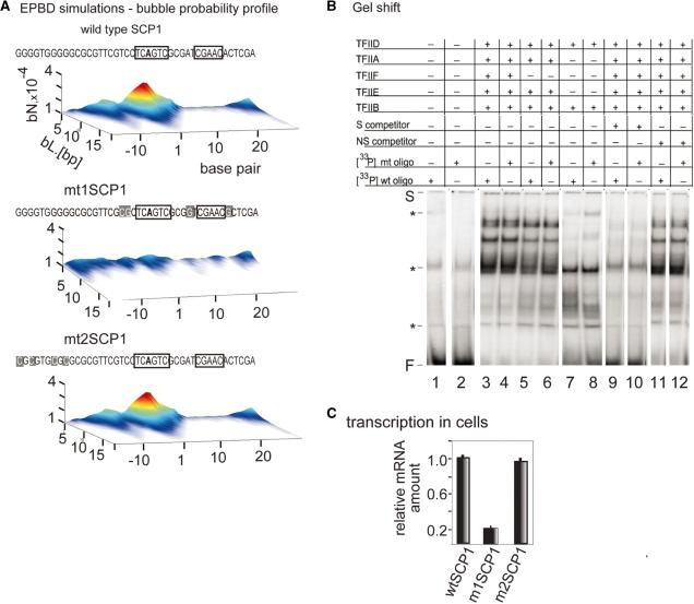 https://cdn.ncbi.nlm.nih.gov/pmc/blobs/a92e/2847213/c9316f47c6b3/gkp1084f2.jpg