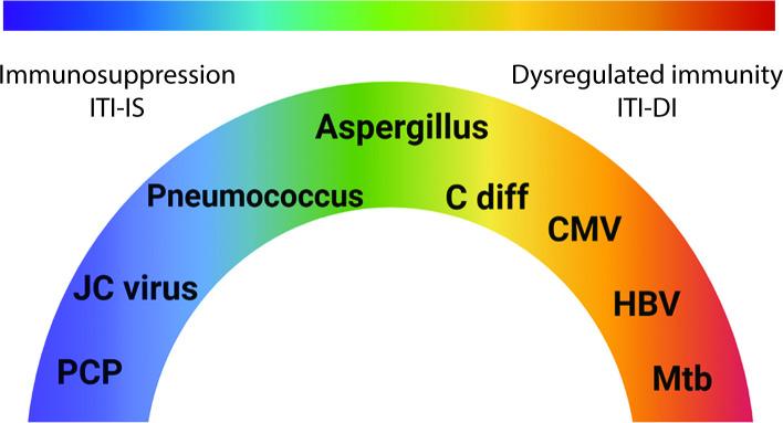 https://cdn.ncbi.nlm.nih.gov/pmc/blobs/a92e/8867274/bd9e280aa6ee/thoraxjnl-2021-217260f02.jpg