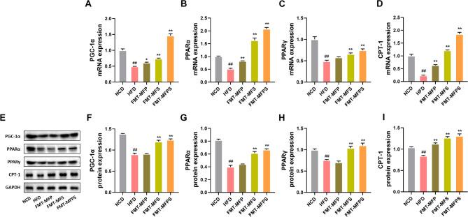 https://cdn.ncbi.nlm.nih.gov/pmc/blobs/a92f/12316889/008f0dca203f/41598_2025_13715_Fig6_HTML.jpg