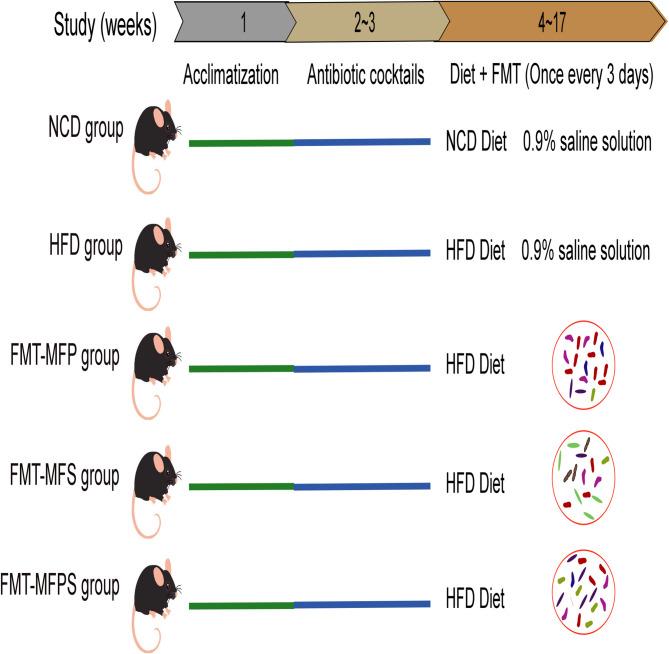 https://cdn.ncbi.nlm.nih.gov/pmc/blobs/a92f/12316889/a0301b9e596f/41598_2025_13715_Fig1_HTML.jpg