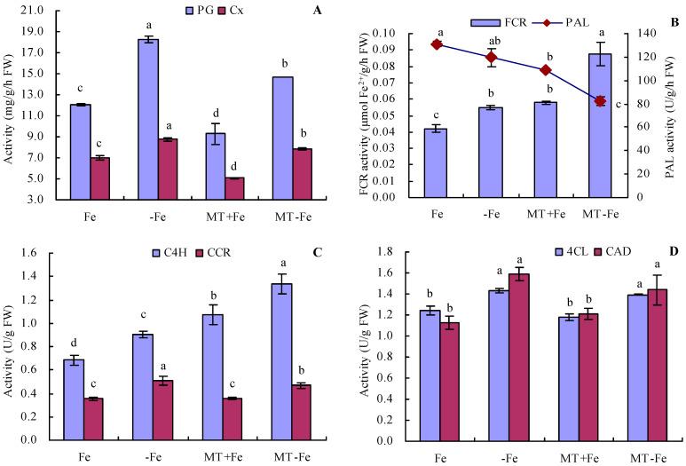 https://cdn.ncbi.nlm.nih.gov/pmc/blobs/a930/10671042/b3447380ba65/ijms-24-16133-g005.jpg