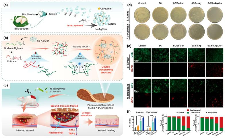 https://cdn.ncbi.nlm.nih.gov/pmc/blobs/a930/12195889/daf2880a5141/pharmaceutics-17-00695-g003.jpg