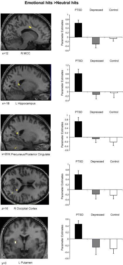 https://cdn.ncbi.nlm.nih.gov/pmc/blobs/a930/2666800/ee6020041059/gr5.jpg
