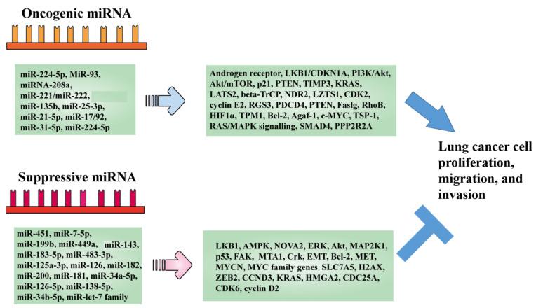 https://cdn.ncbi.nlm.nih.gov/pmc/blobs/a930/9503430/2c8ad4fb7ffe/molecules-27-05903-g001.jpg