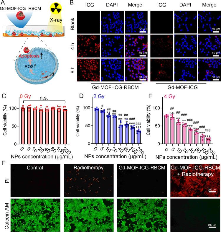 https://cdn.ncbi.nlm.nih.gov/pmc/blobs/a931/11391537/5a122165ecbe/ao4c06191_0003.jpg