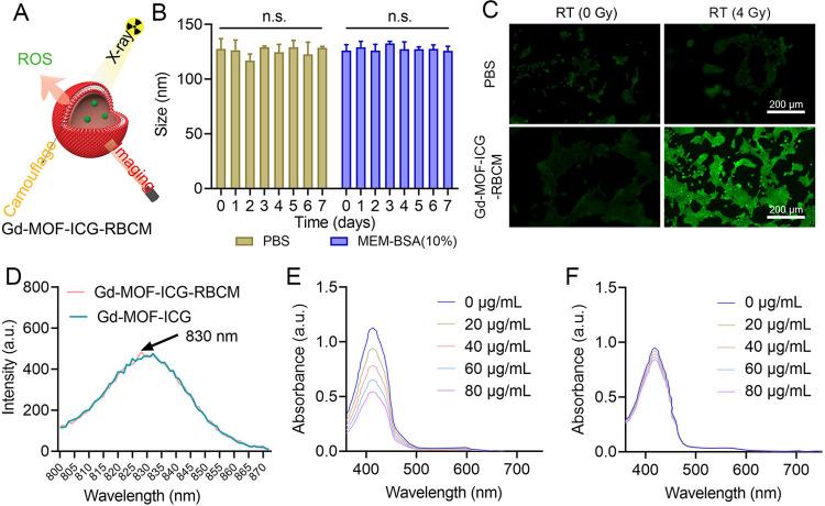 https://cdn.ncbi.nlm.nih.gov/pmc/blobs/a931/11391537/5a3556f72046/ao4c06191_0002.jpg