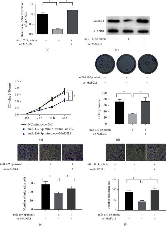 https://cdn.ncbi.nlm.nih.gov/pmc/blobs/a931/7657690/defa75fb489c/CMMM2020-2953598.004.jpg