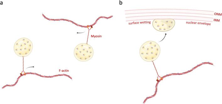 https://cdn.ncbi.nlm.nih.gov/pmc/blobs/a934/10904543/0e9f146a33ab/412_2023_807_Fig6_HTML.jpg
