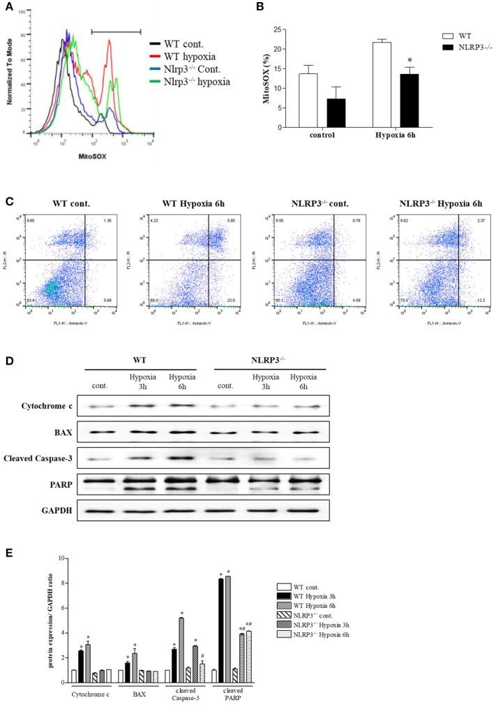 https://cdn.ncbi.nlm.nih.gov/pmc/blobs/a935/6240646/72ae077aeb33/fimmu-09-02563-g0005.jpg