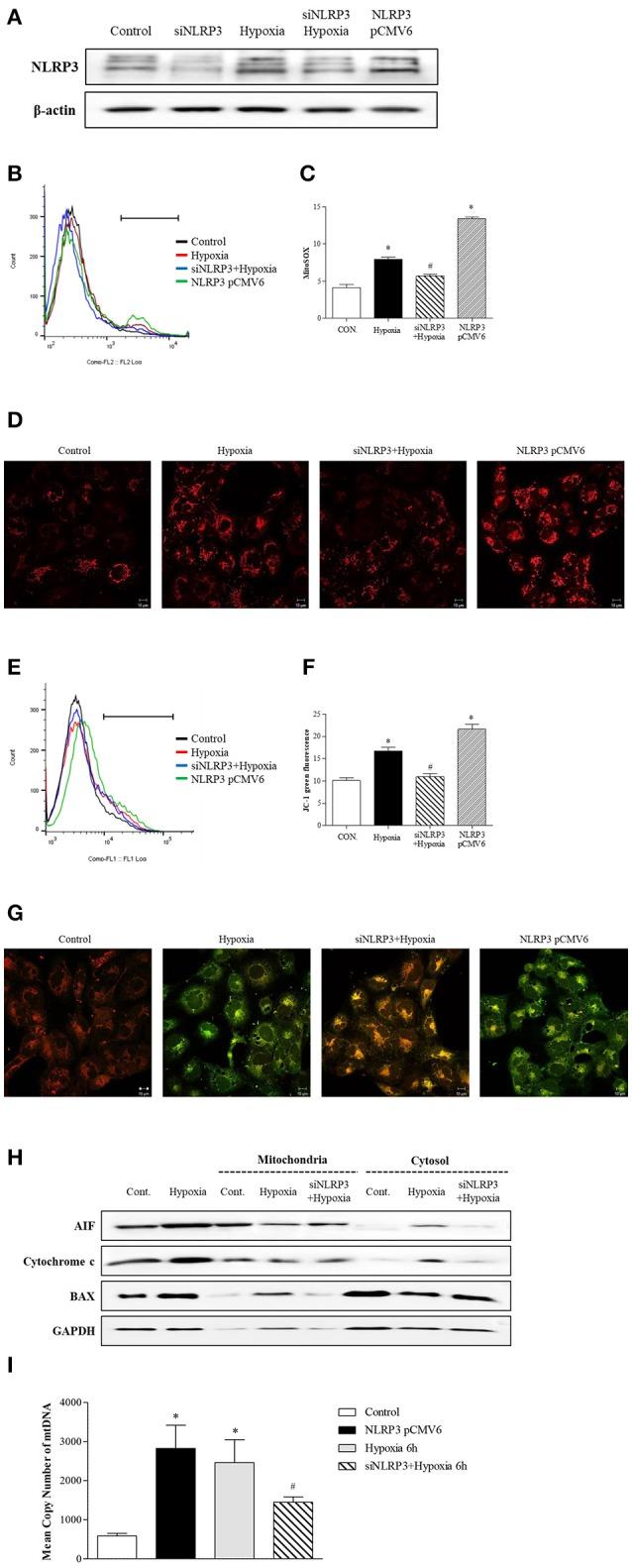 https://cdn.ncbi.nlm.nih.gov/pmc/blobs/a935/6240646/ac825e07500a/fimmu-09-02563-g0003.jpg