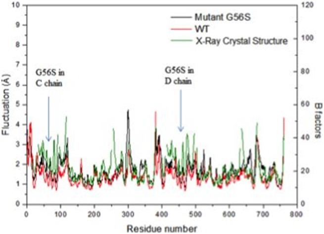 https://cdn.ncbi.nlm.nih.gov/pmc/blobs/a937/4207787/65430bdf9240/pone.0110884.g003.jpg