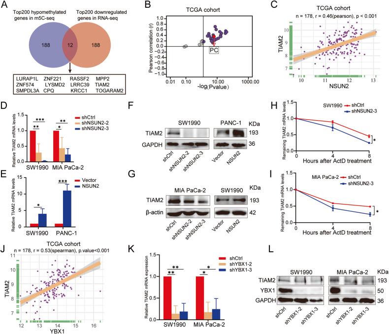 https://cdn.ncbi.nlm.nih.gov/pmc/blobs/a938/10314926/9737f2cb9e16/41420_2023_1521_Fig6_HTML.jpg