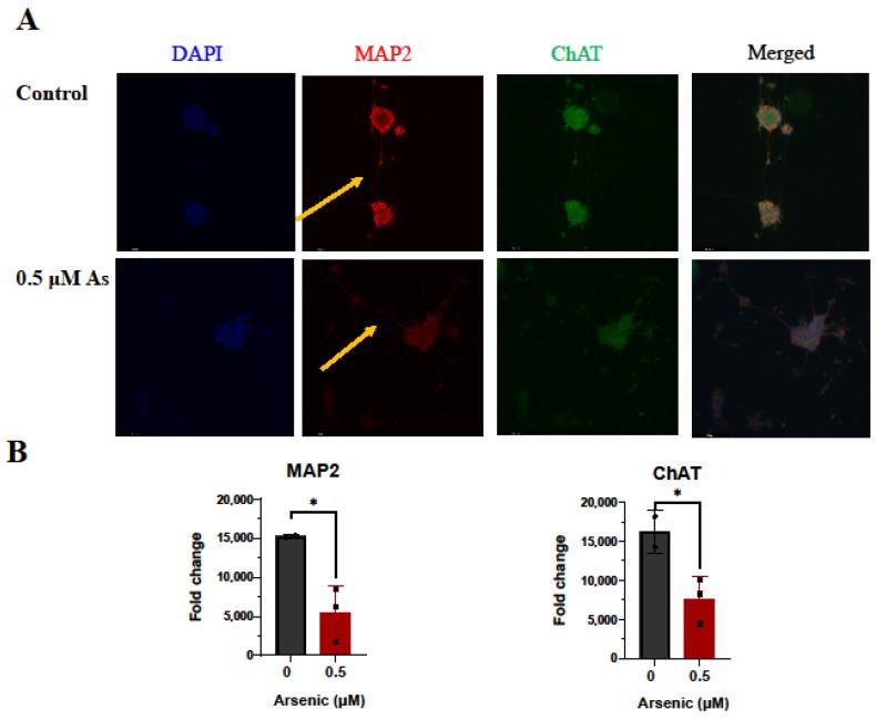 https://cdn.ncbi.nlm.nih.gov/pmc/blobs/a938/10458826/06676d798681/toxics-11-00644-g010a.jpg
