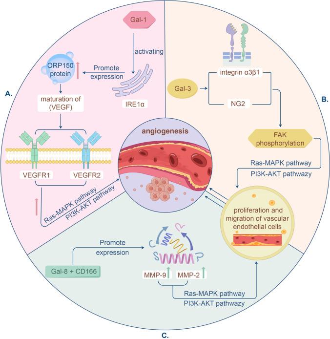 https://cdn.ncbi.nlm.nih.gov/pmc/blobs/a93b/12137859/0e8aa83ff3f7/12672_2025_2318_Fig3_HTML.jpg