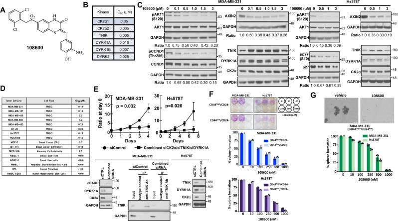 https://cdn.ncbi.nlm.nih.gov/pmc/blobs/a93c/8333338/787f910e9254/41467_2021_24878_Fig1_HTML.jpg