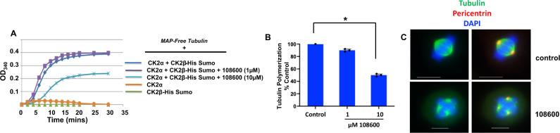 https://cdn.ncbi.nlm.nih.gov/pmc/blobs/a93c/8333338/a0979e70e040/41467_2021_24878_Fig3_HTML.jpg