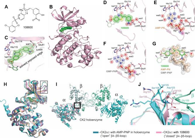 https://cdn.ncbi.nlm.nih.gov/pmc/blobs/a93c/8333338/c2026dcd4646/41467_2021_24878_Fig2_HTML.jpg