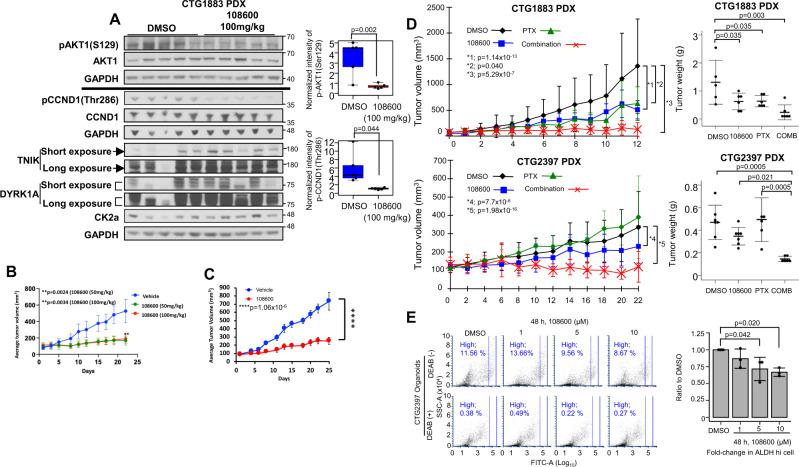 https://cdn.ncbi.nlm.nih.gov/pmc/blobs/a93c/8333338/f14d8971a573/41467_2021_24878_Fig6_HTML.jpg