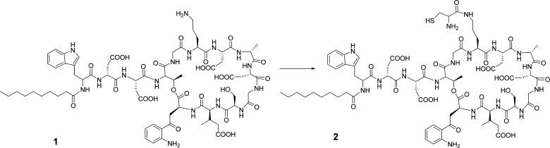 https://cdn.ncbi.nlm.nih.gov/pmc/blobs/a93e/6643399/8ac5bc5f81cc/ao-2016-00567g_0004.jpg