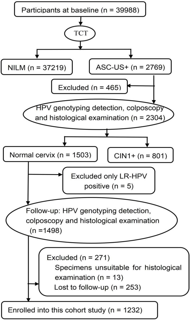 https://cdn.ncbi.nlm.nih.gov/pmc/blobs/a940/8176416/94ea5b6427cc/jcav12p4379g001.jpg