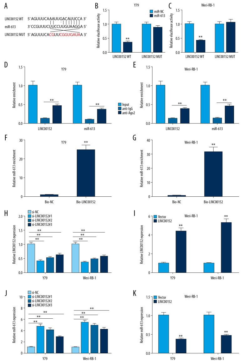 https://cdn.ncbi.nlm.nih.gov/pmc/blobs/a941/7315805/da1a68070a22/medscimonit-26-e920886-g002.jpg