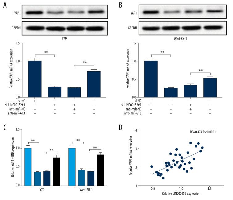 https://cdn.ncbi.nlm.nih.gov/pmc/blobs/a941/7315805/f2c9427b1156/medscimonit-26-e920886-g007.jpg