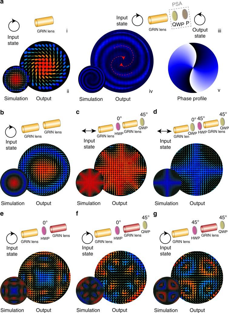 https://cdn.ncbi.nlm.nih.gov/pmc/blobs/a947/6753074/cfe29da7b379/41467_2019_12286_Fig2_HTML.jpg
