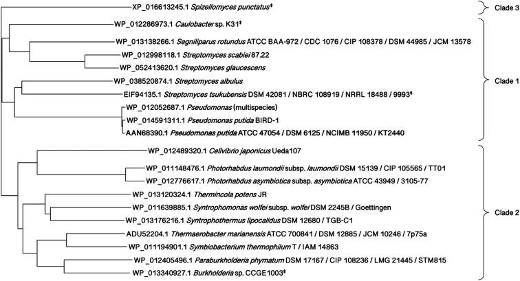 https://cdn.ncbi.nlm.nih.gov/pmc/blobs/a94b/10829540/ff150ada5985/d3ra07081f-f4.jpg