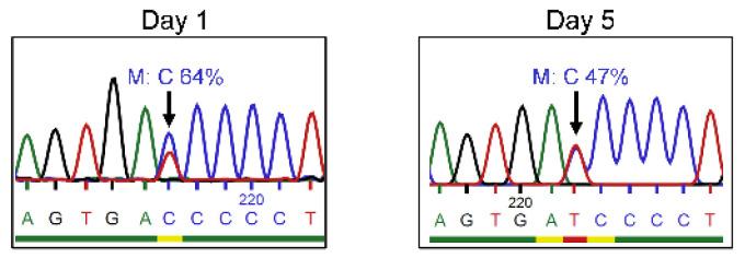 https://cdn.ncbi.nlm.nih.gov/pmc/blobs/a94c/9777626/913a79dd3042/genes-13-02348-g001.jpg